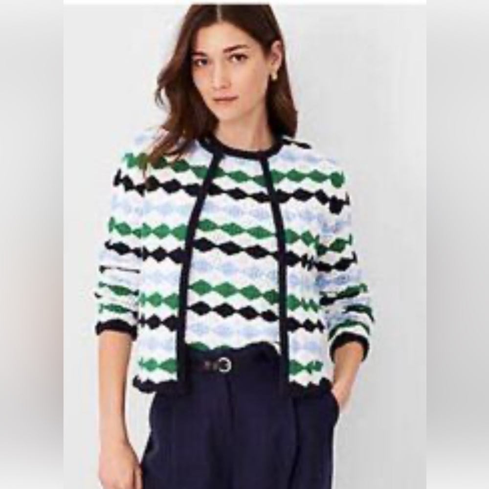 Ann Taylor sz L blue, green, and white crochet cardigan sweater